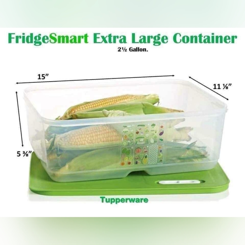 Tupperware Fridgesmart Extra Large Container